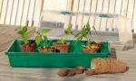 Accessoires pour semer - Kit de Plantation - 24 godets et 24 pastilles - MEDIA_EN_SITUATION_1